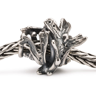 Talisman Algă Marină