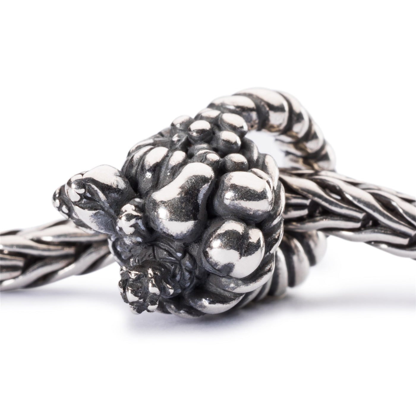 Talisman Corn al Abundenţei