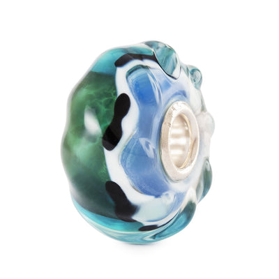 Talisman Oglinda Seninătăţii