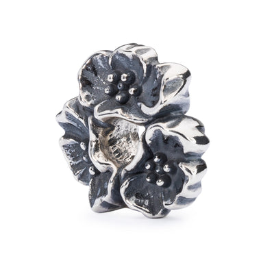 Talisman Cireș Sălbatic